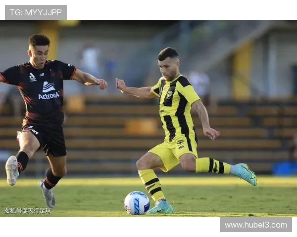 布里斯班狮吼与中场球员乔丹·劳顿签署为期两年的合约